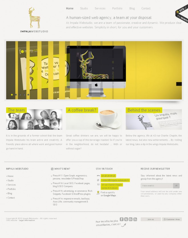Lille corporate website design.preview